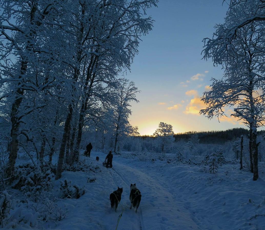 Vestvatn - Arctic Cabins Brekke  Luaran gambar